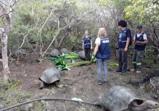 厄瓜多尔加拉帕戈斯自然保护区-自2003年以来，超过20,000名快乐志愿者”>
                 </div></a>
               </div>
               <div class=