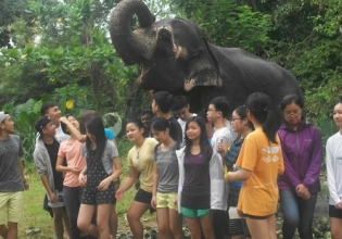 斯里兰卡大象保护区志愿者-自2006年以来超过22000名快乐志愿者