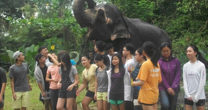 斯里兰卡大象保护区志愿者-自2006年以来超过22000名快乐志愿者