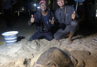 自2003年以来，在巴厘岛教英语和保护海龟组合-超过20,000名快乐志愿者