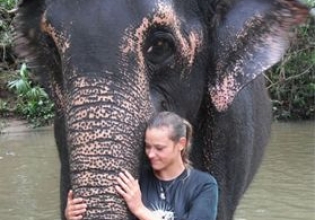 斯里兰卡的大象保护-自2003年以来，超过20,000名快乐志愿者”>
                 </div></a>
               </div>
               <div class=