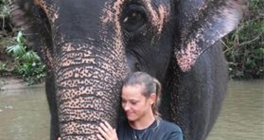 斯里兰卡的大象保护-自2003年以来，超过20,000名快乐志愿者