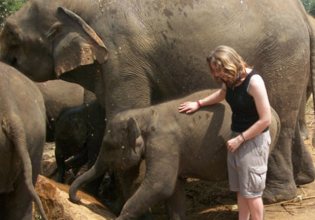 斯里兰卡大象保护实习-自2003年以来收费最低”>
                 </div></a>
               </div>
               <div class=