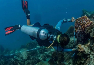 珊瑚礁保护与潜水项目，泰国