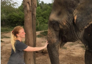 泰国大象救援