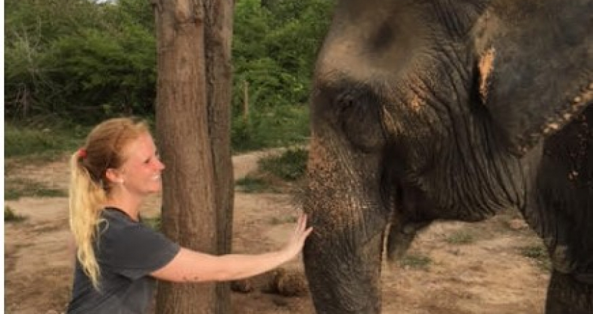 泰国大象救援