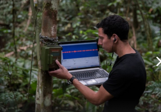 巴西热带森林生态志愿者