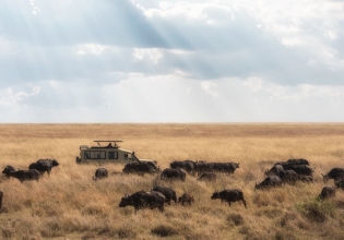 Let’s Plan your 5 Days Tanzania Safaris Vacation
