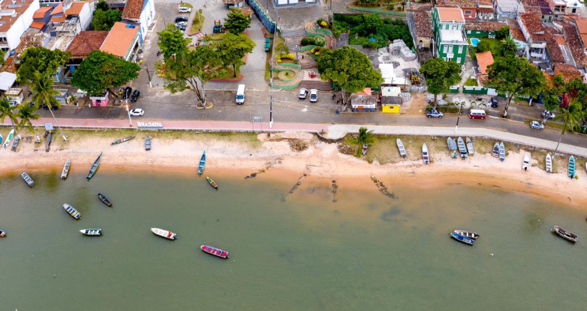 基金发展和拨款撰写-巴西热带冲浪小镇志愿者或实习生(免费虚拟职位)