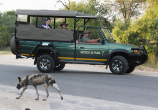 3 Days 2 Nights Classic Kruger Park Safari
