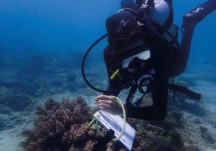 Volunteer in scientific scuba diving