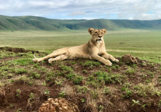 2 Days (One Night Safari in Tarangire NP and Ngorongoro Crater)